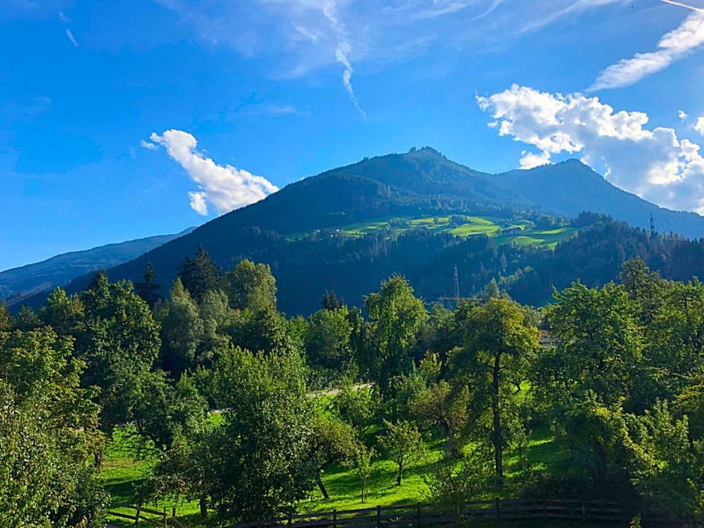 Ferienwohnungen Luxner Fügen Buitenkant foto